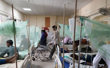 Число жертв лихорадки денге в Бангладеш превысило 1,6 тысячи