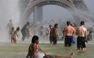 Текущий год признали самым жарким за всю историю человечества