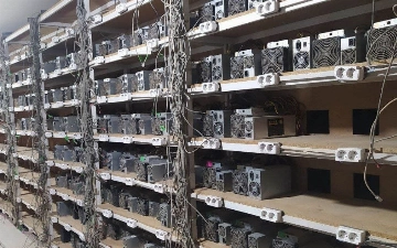 В Фергане накрыли криптоферму, нанесшую ущерб почти на 3 млрд сумов