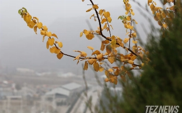 Осень 2023 года стала самой теплой в истории метеонаблюдений Узбекистана