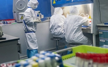 WSJ: Китайские ученые выявили коронавирус за две недели до передачи информации ВОЗ