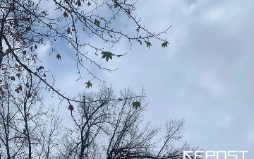 Воздух в Ташкенте на 3 февраля: уровень загрязнения превысил норму в пять раз