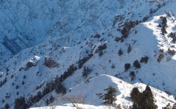 Жителей шести регионов Узбекистана экстренно предупредили о лавинной опасности