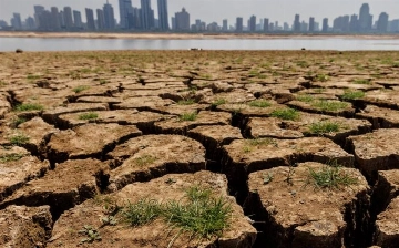 МОМ: 3,6 млрд человек живут в условиях уязвимого к изменениям климата