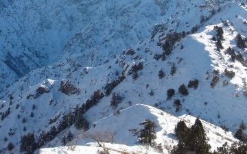 Жителей шести регионов Узбекистана предупредили о лавинной опасности