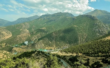 В Узбекистане займутся восстановлением устойчивых лесных ландшафтов 