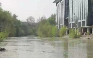 Граждане, утонувшие в канале Бурджар, были иностранцами