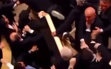 В Грузии депутаты снова подрались из-за закона об иноагентах