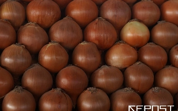 В Узбекистане откроют коридоры для ускоренного экспорта овощей и фруктов