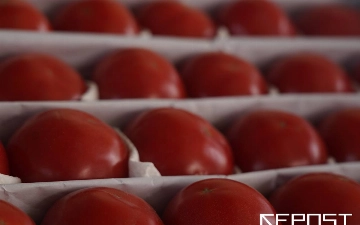 Какие продукты больше всего подорожали и подешевели в мае