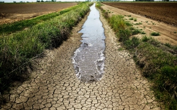Может ли засуха в Центральной Азии породить конфликты между странами