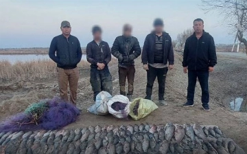 В Каракалпакстане браконьеры незаконно наловили рыбы более чем на 750 млн сумов