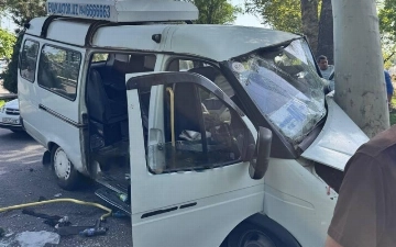 В Ташкенте водитель маршрутки не справился с управлением и врезался в дерево, есть пострадавшие