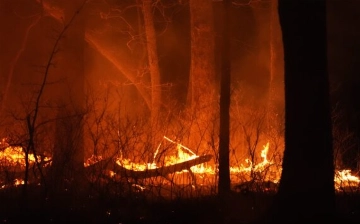 В американском Нью-Джерси бушует лесной пожар: власти эвакуировали 3 тысячи человек