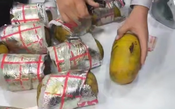 В Узбекистане нашли и изъяли почти 27 кг гашиша и опия