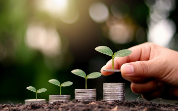 Что делать с накоплениями: банковский вклад, акции или инвестиционные пакеты 