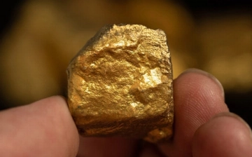 Французский фермер нашел у себя на участке золото на €3,5 млрд