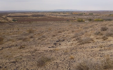 В Узбекистане расширили список районов с неблагоприятным климатом