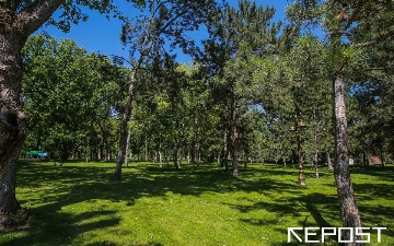 Воздух в Ташкенте на 5 июля: уровень загрязнения превысил норму в пять раз