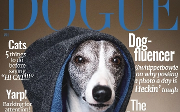Vogue ищет новую звезду для обложки Dogue