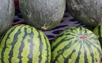 Узбекистан заработал почти $30 млн на экспорте арбузов