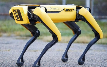 В Мексике робот-собака учит людей бережному отношению к животным