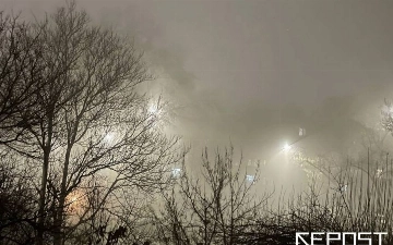 Дождь и туман: синоптики рассказали, какая погода ждет узбекистанцев в среду