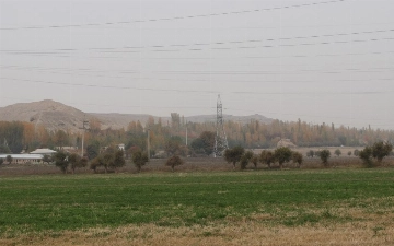 В Узбекистане усовершенствуют порядок предоставления земельных участков в аренду