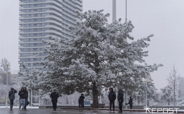 Прогноз погоды в Узбекистане на 29 января