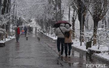 Перечислены самые густонаселенные регионы Узбекистана