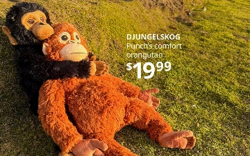 Детеныш макаки Панч вызвал ажиотаж на игрушку IKEA: продажи орангутана взлетели до небес