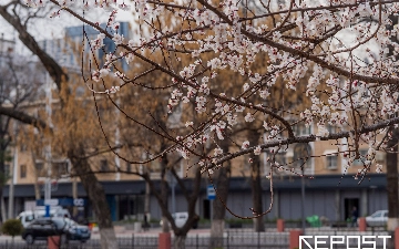 Дожди и понижение температуры: какая погода ждет узбекистанцев на этой неделе