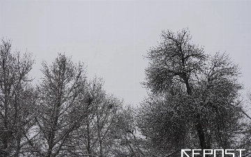 Ночные заморозки до -10 градусов: какая погода ждет узбекистанцев на этой неделе