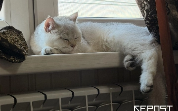 Объявлена дата завершения отопительного сезона в Ташкенте