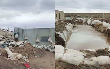 В Навои пресекли деятельность нелегальных золотодобытчиков