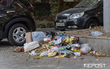 В Ташкенте выявили более 1,8 тысячи случаев выброса мусора в неположенном месте
