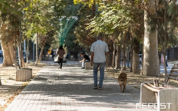 Какая погода ждет узбекистанцев перед выходными