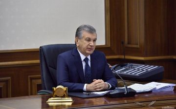 Узбекистан выделит трудовым мигрантам кредиты на дорожные расходы, патент и страховку 