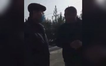 «Если столб упадет, сидите без света»: руководитель областной «электросети» ответил на просьбу граждан заменить столбы