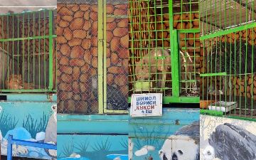 В Самарканде нашли тюрьму для животных 