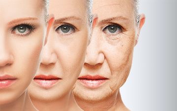 Пересадка кала в будущем может помочь в омоложении организма человека