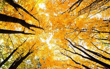 Озвучен прогноз погоды на начало следующей недели в Узбекистане