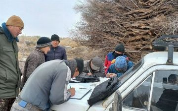 Жителей Каракалпакстана оштрафовали на 40,5 млн сумов за незаконную попытку вывоза тамариска