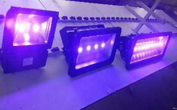 Почему ультрафиолет способен убивать микробы?