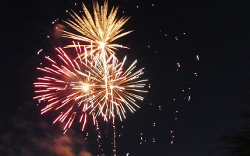 В Ташкенте запустят праздничный салют в честь 9 мая (локация)