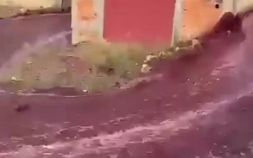 Португальский город Анадия затопило вином