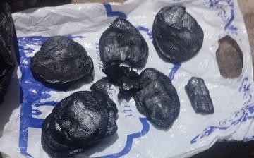 В Каракалпакстане задержали наркоторговцев с крупной партией опия