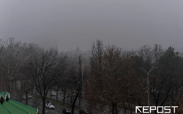 Дождь не помог: синоптики объяснили, почему осадки не привели к улучшению качества воздуха в Ташкенте