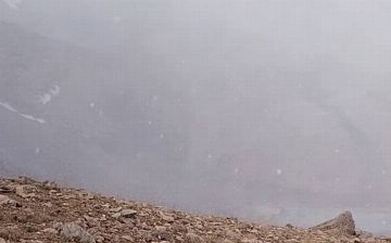 Кашкадарью накрыло первым снегом - видео