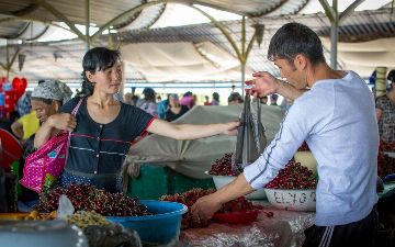 Эксперт рассказал, какой процент дипломированных специалистов является бедным